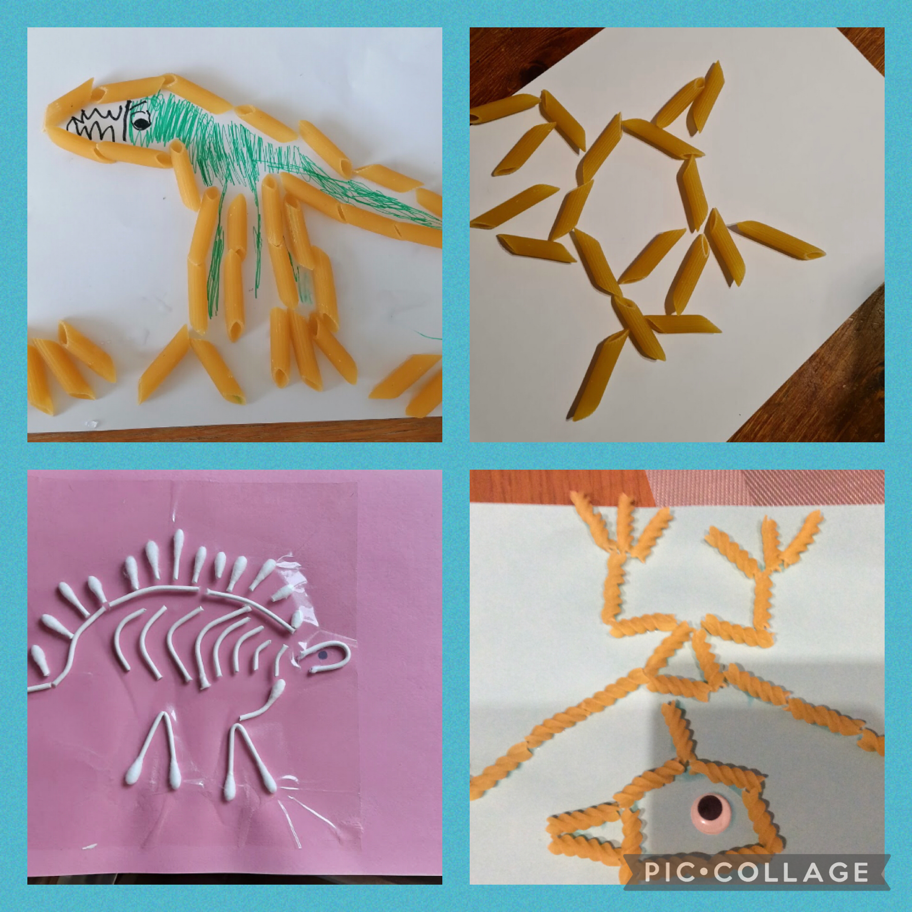 Our dinosaur skeletons