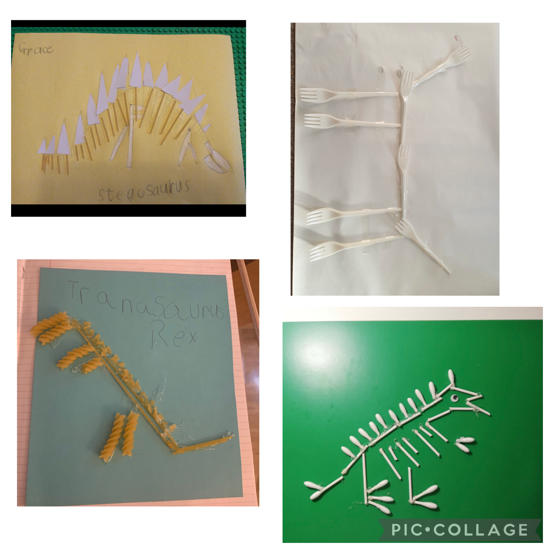 More fab dinosaur skeletons ��